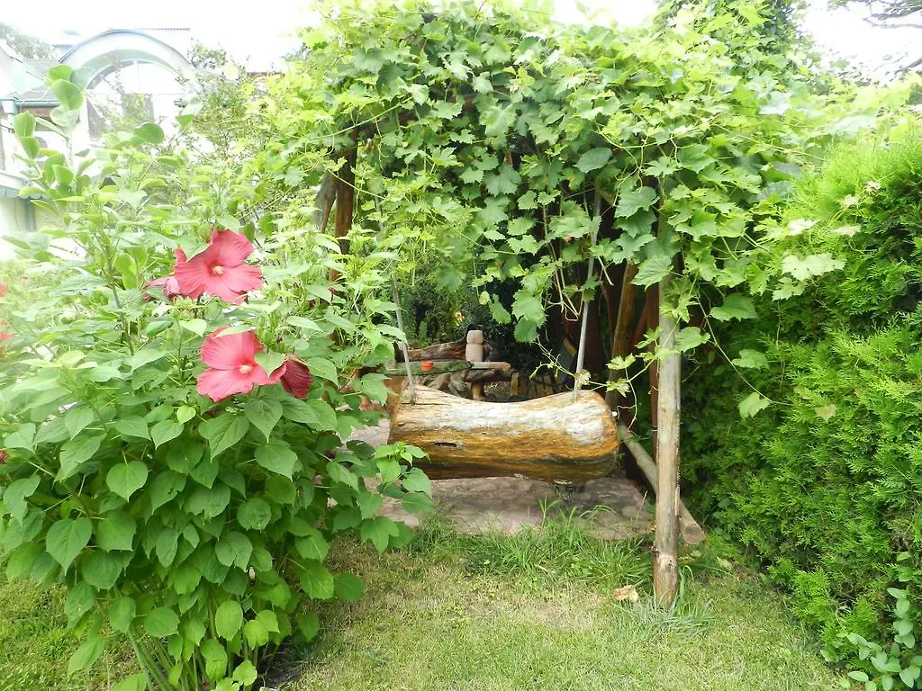 Guest house Vila Saltanat 41 Varna