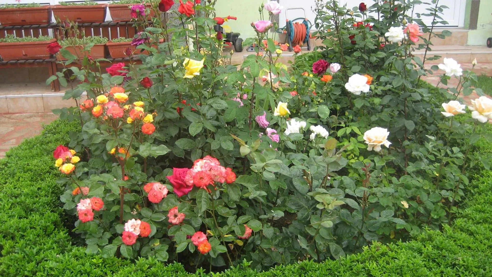 Vila Saltanat 41 Varna Bulgaria